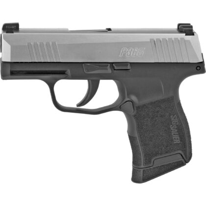 Sig Sauer P365 9MM 3.1" 10RD Night Sights Stainless/Black