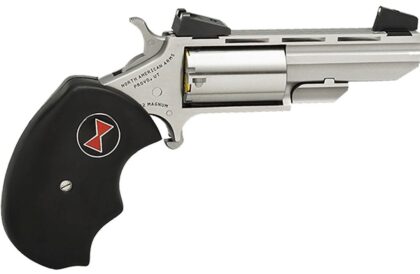 North American Arms Black Widow 22LR 2" 5RD