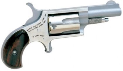 NAA Mini Revolver 22LR 1.625" 5RD
