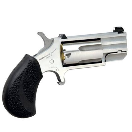 NAA Pug 22LR/22MAG Conversion 1" 5RD