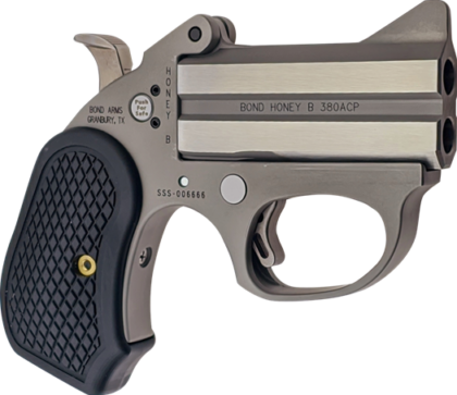 Bond Arms Honey-B 38SP Stainless 2RD