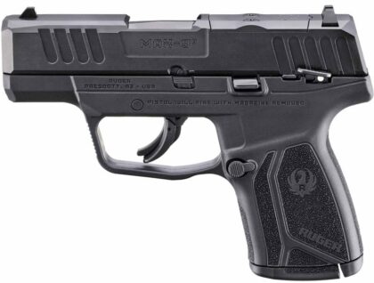 Ruger MAX-9 9MM 3.2" 10RD Optic Ready